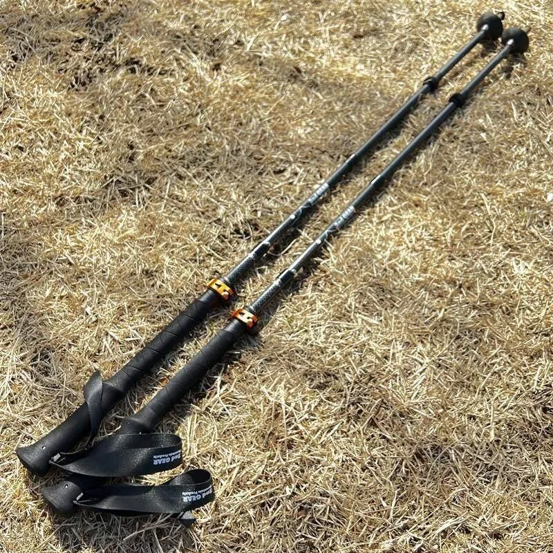 フィールド使用1