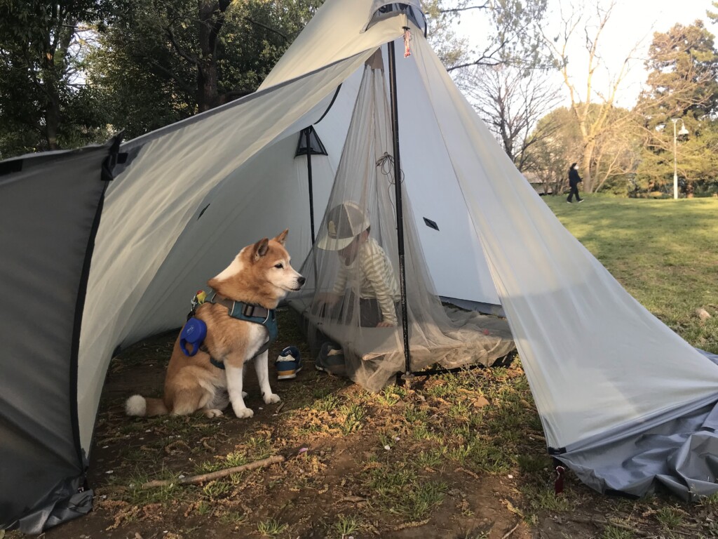 Freelight×Helinox】雲取山 1泊2日コット泊の旅 【カンパニーハイク 