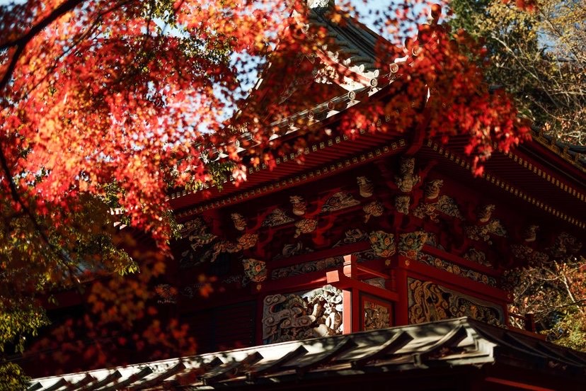 高尾山薬王院の荘厳な山門の屋根と色鮮やかな赤い紅葉